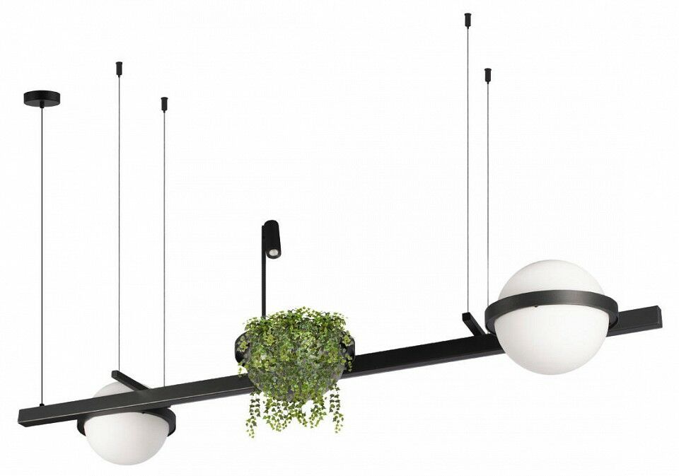 Подвесной светильник Loft IT Jardin 10121/D