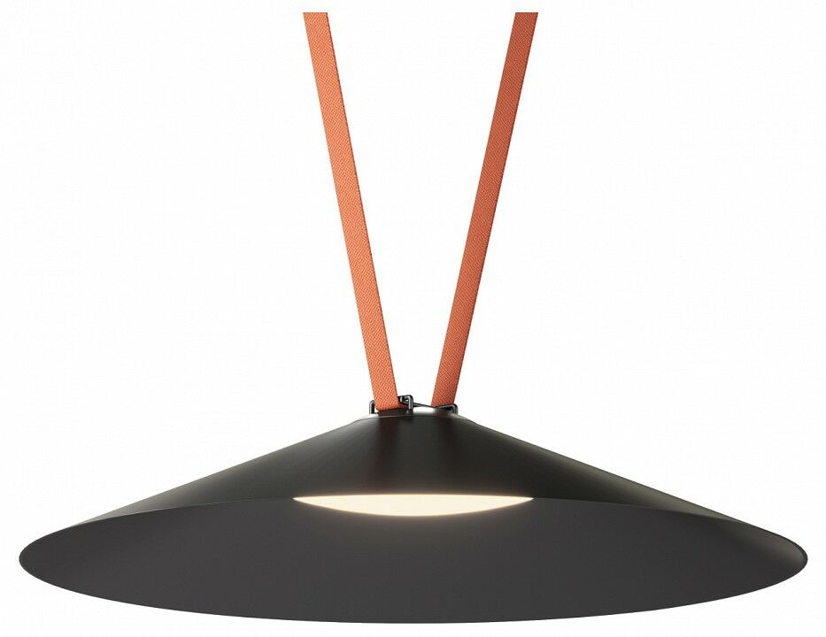 Накладной светильник Denkirs Belty Flow DK5569-BK
