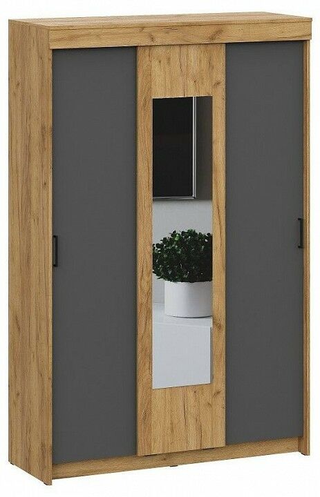 Арника Шкаф-купе Вена