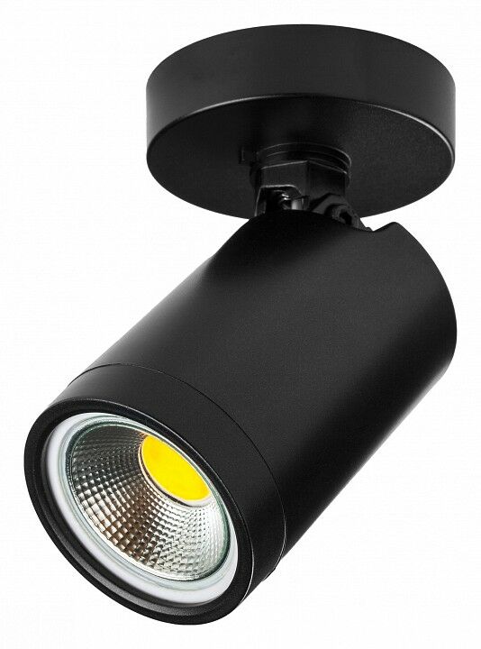 Светильник на штанге Lightstar Rullo 213407