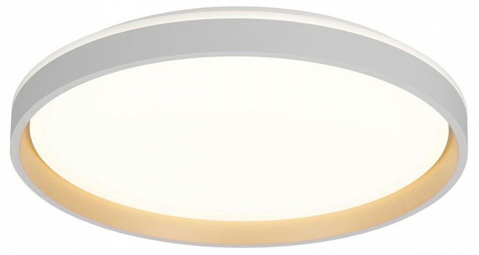 Накладной светильник Citilux ENZO CL753510G