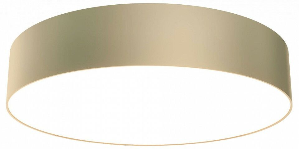 Накладной светильник Maytoni Technical Zon C032CL-L43MG3K