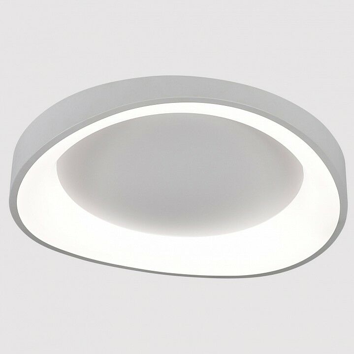 Накладной светильник Arte Lamp None A2698PL-60WH