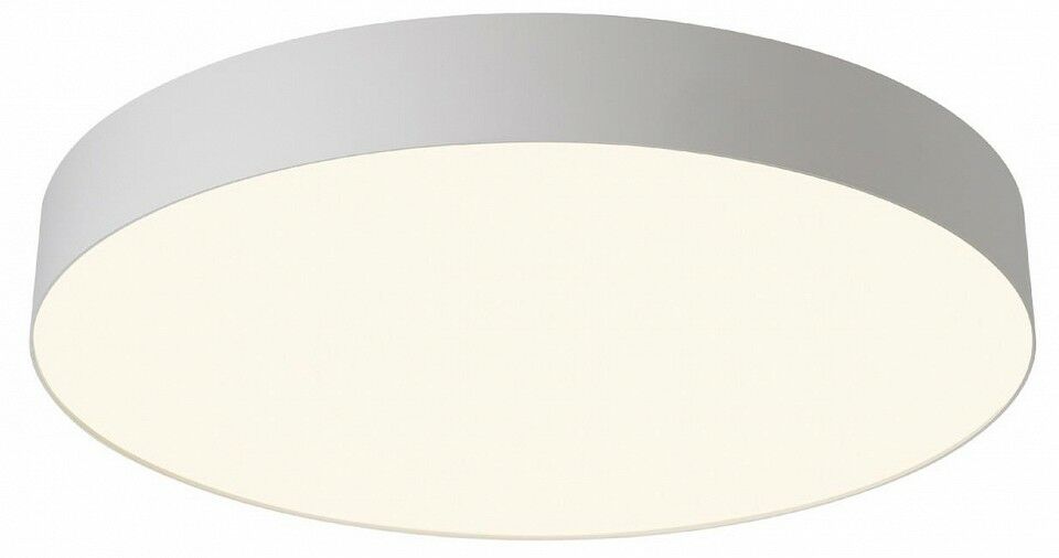 Накладной светильник Citilux BART CL755490